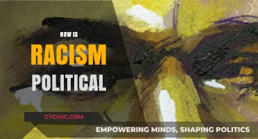 Racism's Political Roots: Power, Policy, and Systemic Inequality Explained