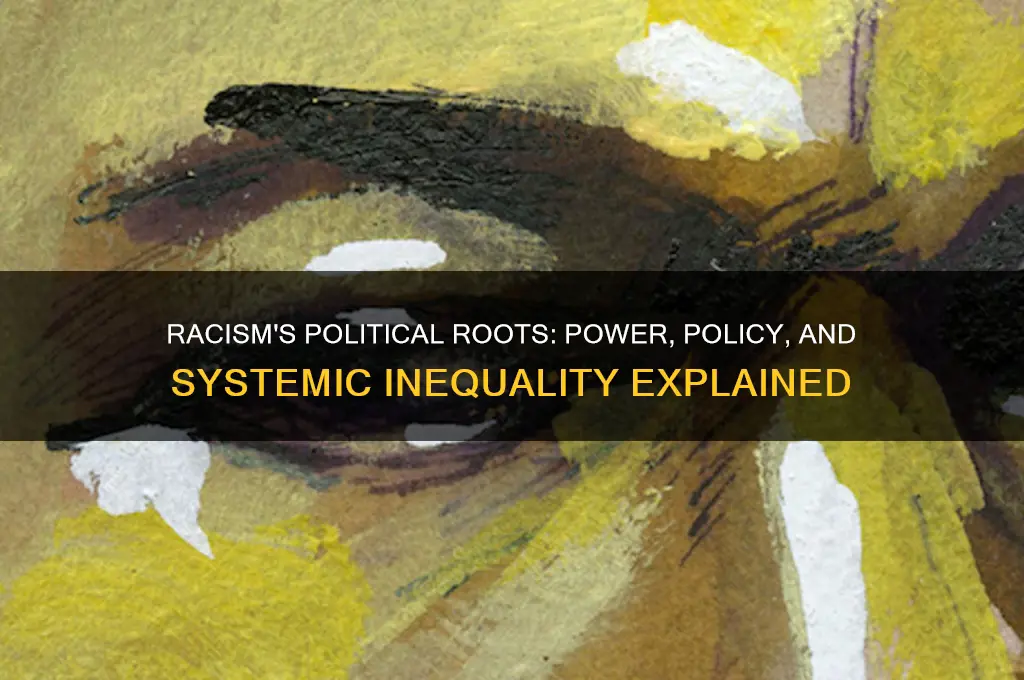 how is racism political