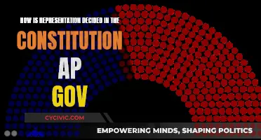 Representation in the Constitution: Deciding America's Voice