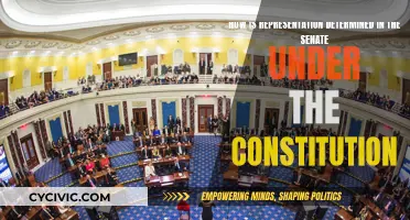 Senate Representation: Constitutional Interpretation