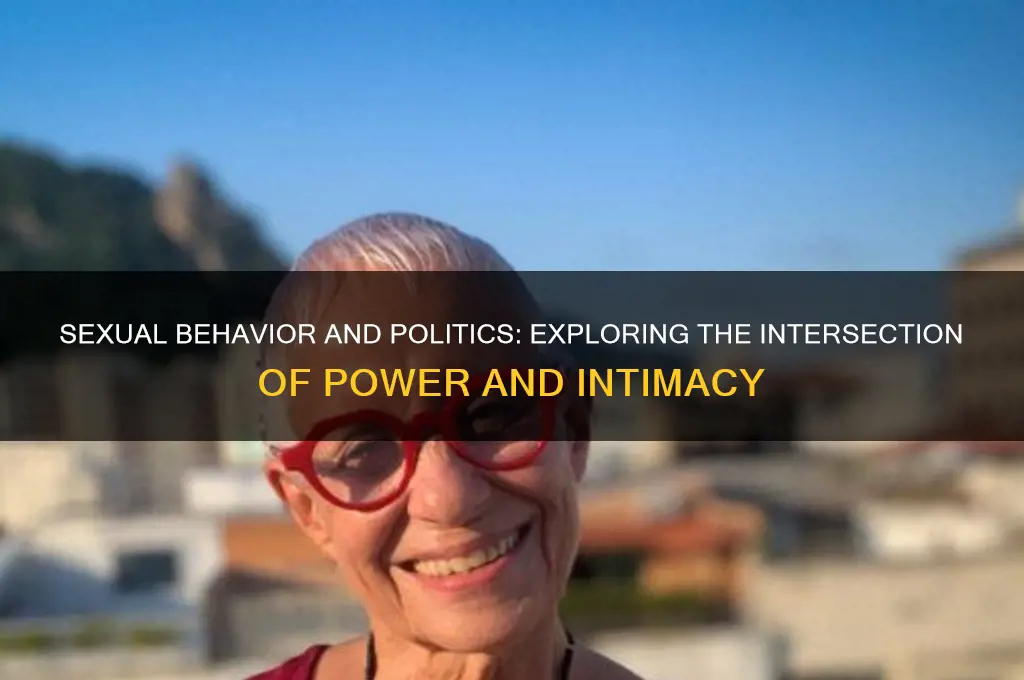 how is sexual behavior political