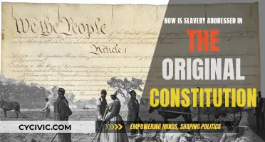 Slavery's Legacy: The Constitution's Original Sin