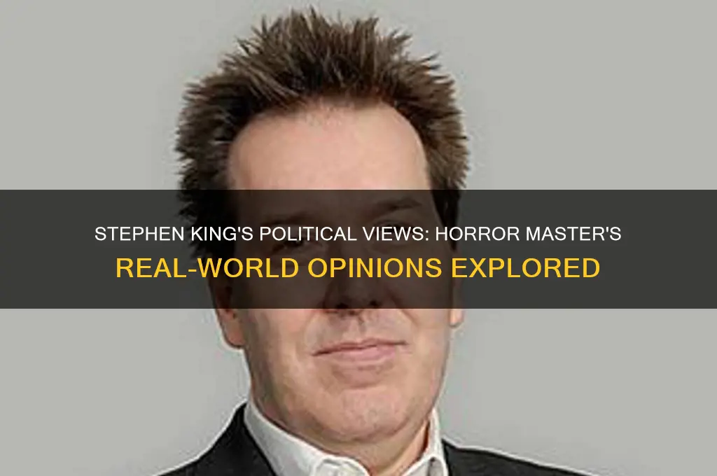 how is steohen king politically
