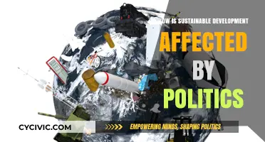 Politics and Sustainable Development: Navigating the Complex Relationship