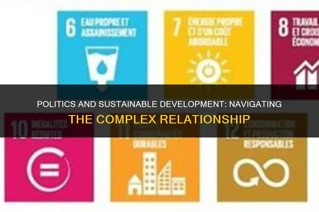 how is sustainable development affected by politics