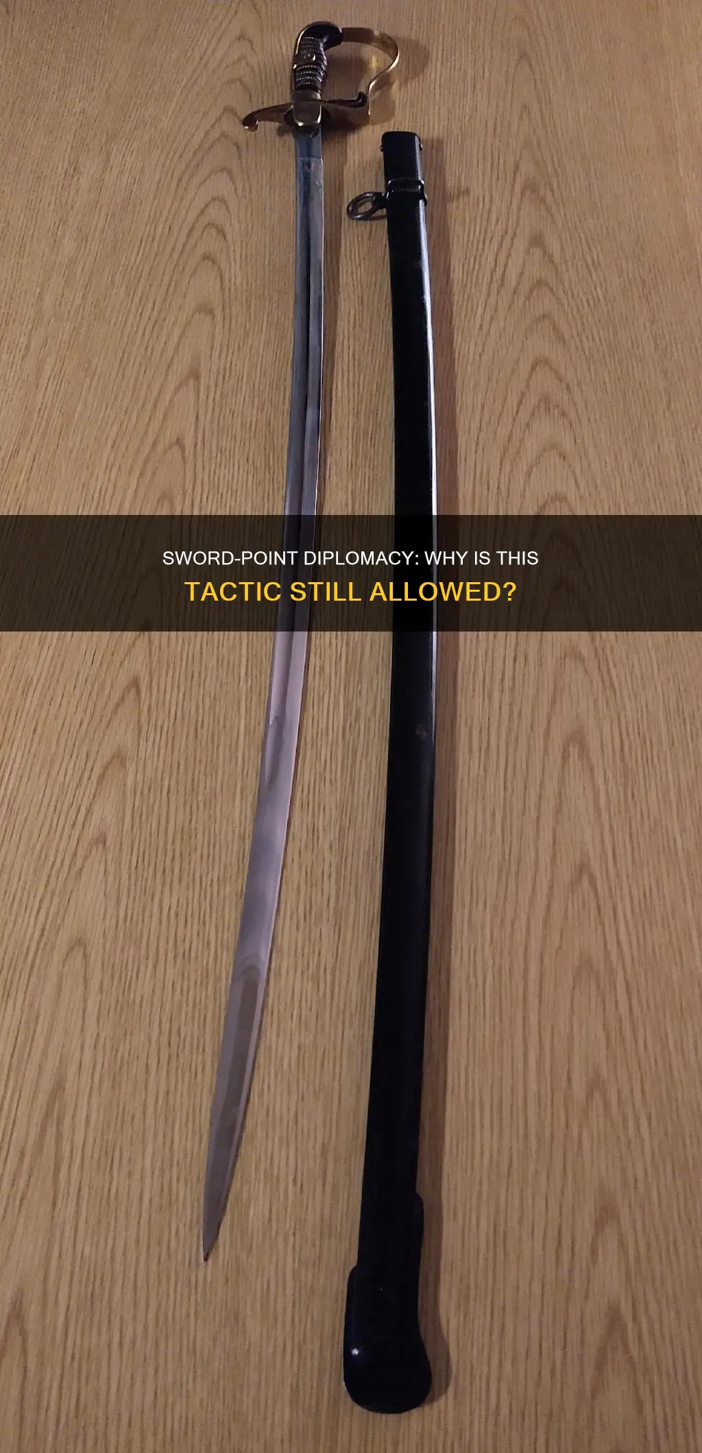 how is sword point diplomacy not baanned