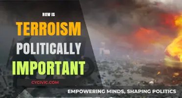 The Political Significance of Terrorism: A Comprehensive Analysis
