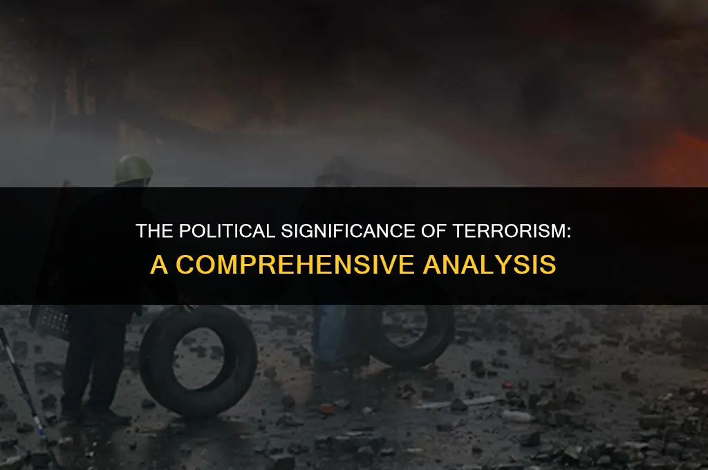 how is terroism politically important