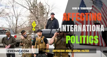 Global Turmoil: Terrorism's Impact on International Politics