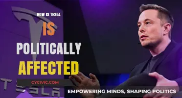 Navigating the Political Landscape: Tesla's Journey and Challenges
