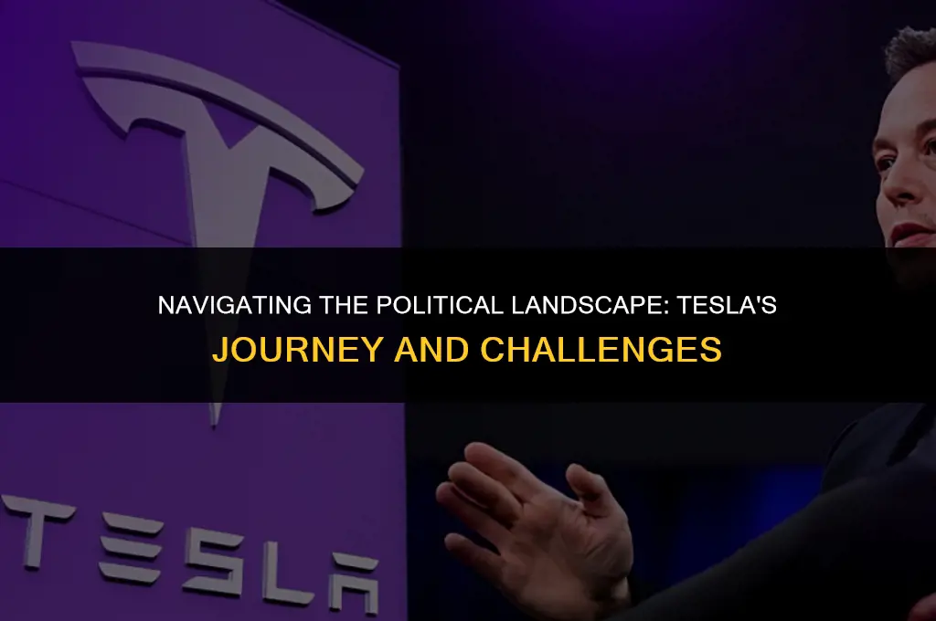 how is tesla is politically affected