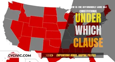 ACA Constitutionality: Understanding the Commerce Clause