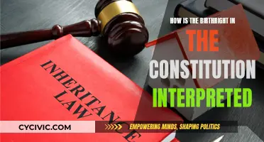 Interpreting the Constitution: Birthright and Citizenship
