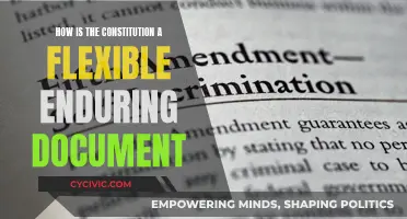 Constitution: A Living, Breathing Document