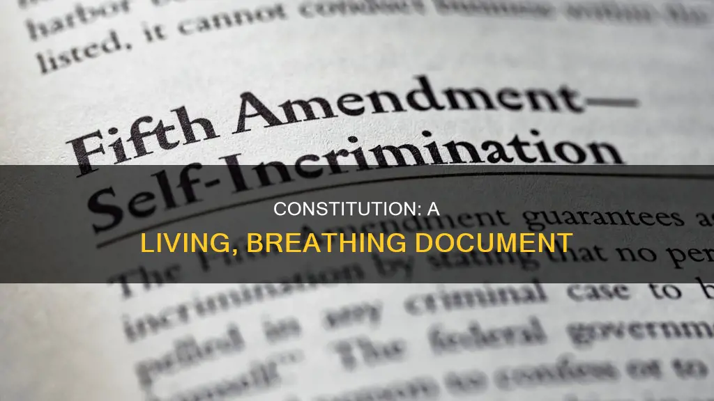 how is the constitution a flexible enduring document