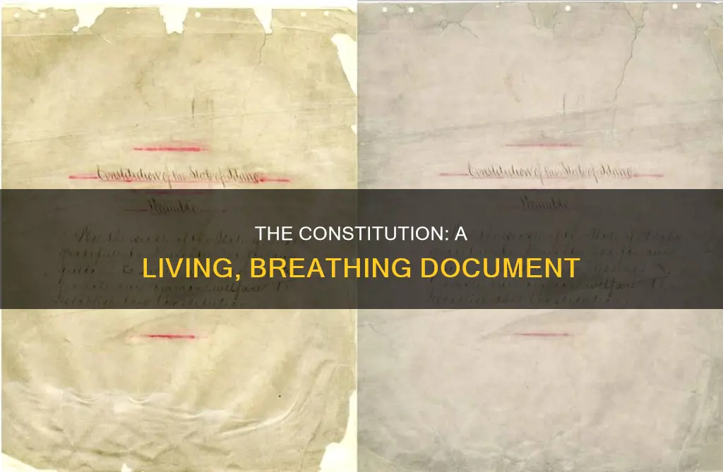 how is the constitution a living and flexible document