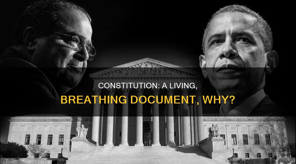 how is the constitution a living breathing document