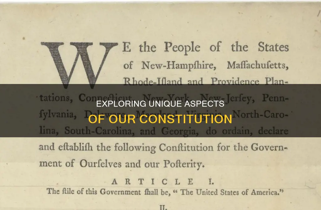 how is the constitution different from other countries constitutions