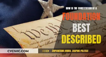 Foundation Constitution: A Guide to Understanding the Basics