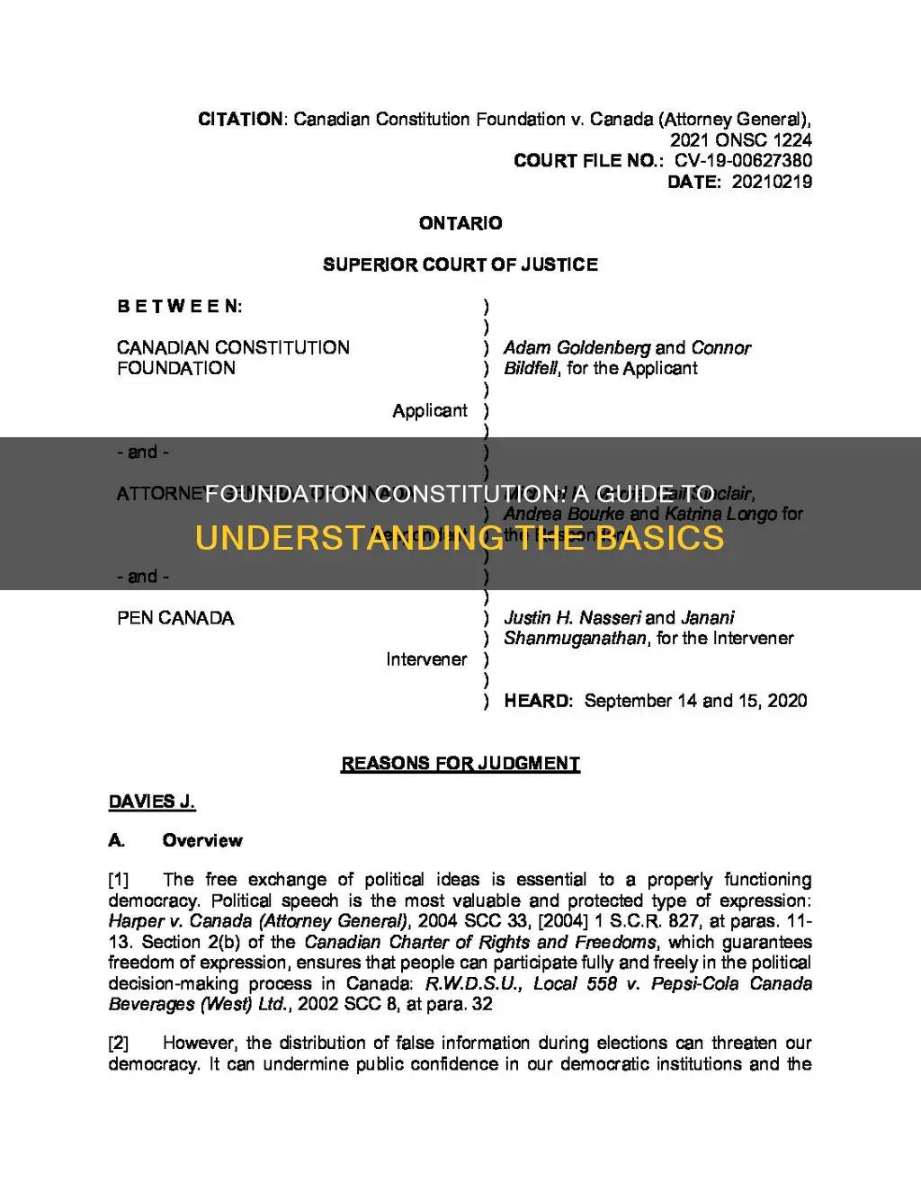 how is the constitution of a foundation best described