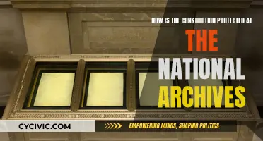 Protecting the Constitution: Securing America's Future at the National Archives