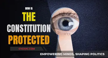 Protecting the Constitution: The Safeguards of Our Democracy