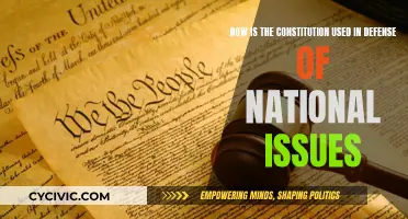 Constitution's Role in Defending National Issues