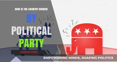 Political Polarization: How Party Lines Divide the Nation's Unity