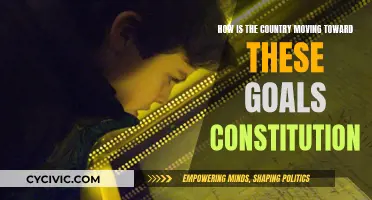 India's Constitutional Goals: Progress and Challenges