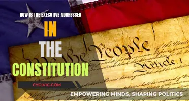 The Executive's Constitutional Address: Powers and Limits