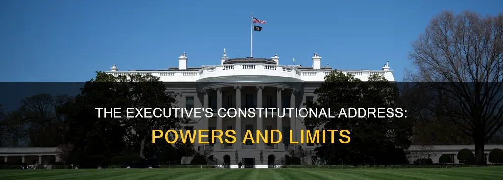 how is the executive addressed in the constitution