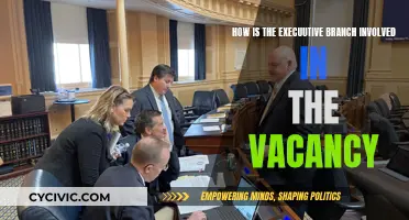 Executive Power: Filling the Vacancy