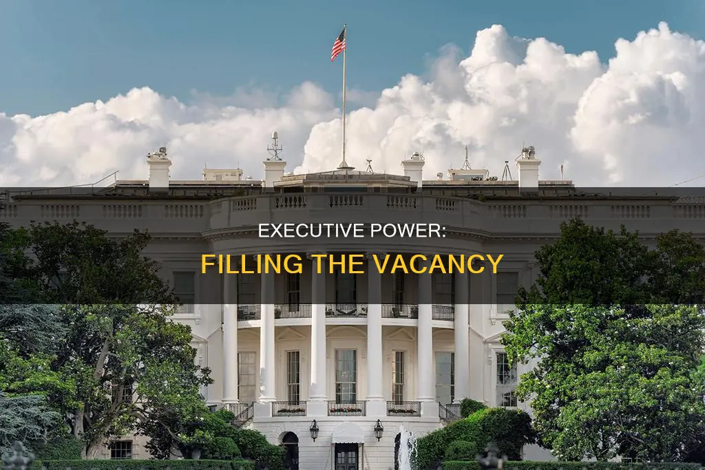 how is the execuutive branch involved in the vacancy