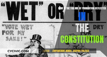 Prohibition's Failure: Constitution's Reflection