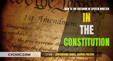 Freedom of Speech: Constitutional Right to Expression