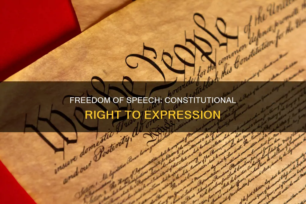 how is the freedom of speech written in the constitution