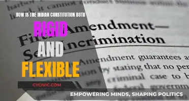 The Dynamic Indian Constitution: Rigidity and Flexibility