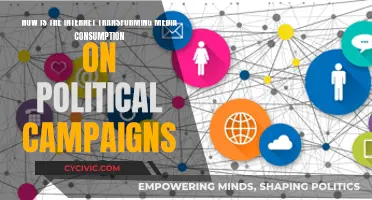 The Internet's Impact on Political Media Consumption