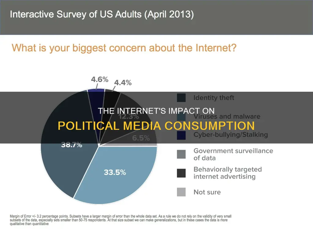 how is the internet transforming media consumption on political campaigns