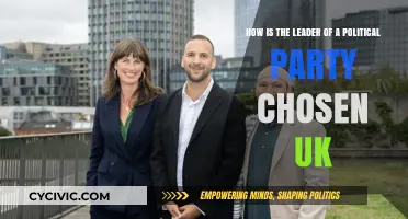 How UK Political Parties Select Their Leaders: A Comprehensive Guide