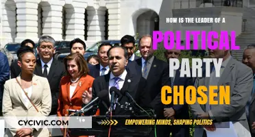 How Political Parties Select Their Leaders: A Comprehensive Guide