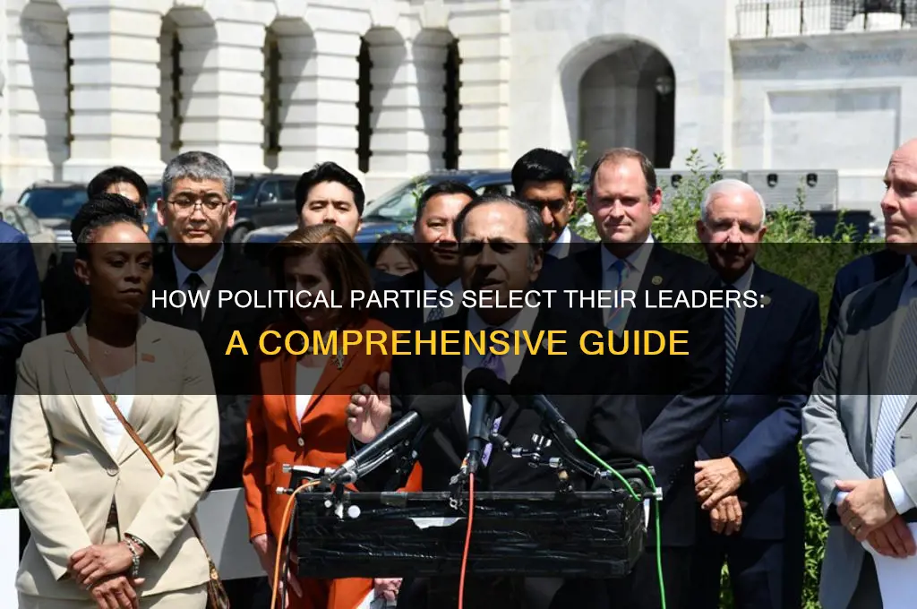 how is the leader of a political party chosen