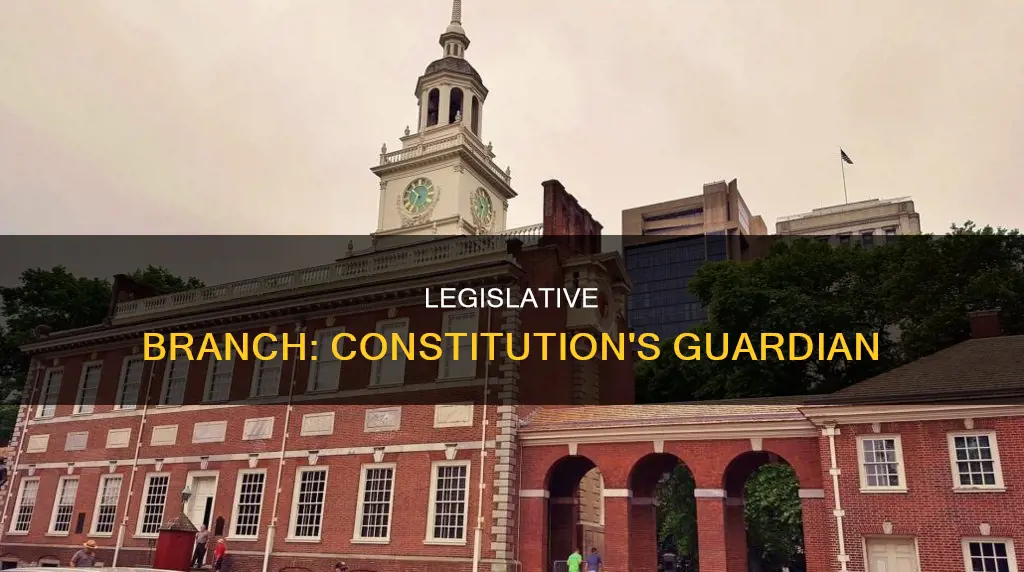 how is the legeslative branch related to the constitution