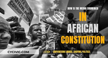 Media Freedom in African Constitutions: A Comparative Study