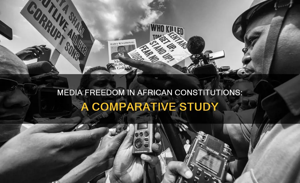 how is the media enshrined in african constitutions