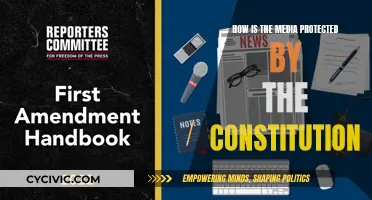 Media Freedom: Constitutional Safeguards for the Press