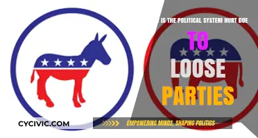 Loose Party Structures Undermine Political Stability and Effective Governance