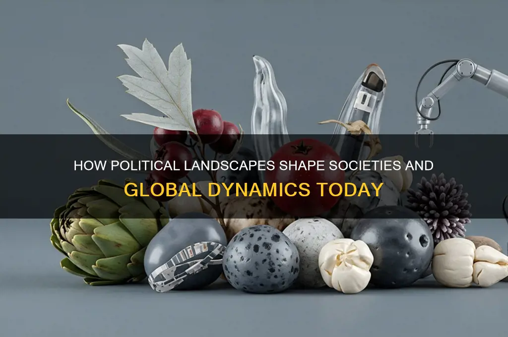 how is the political