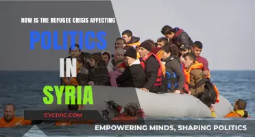 Syrian Politics in Turmoil: The Refugee Crisis Impact