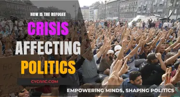 Politics in Turmoil: The Refugee Crisis Reshapes Global Landscapes